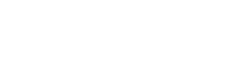 stankibu.com